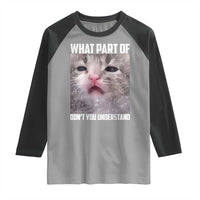 Funny Math Cat Lover Raglan Shirt What Part Of Do Not You Understand - Wonder Print Shop