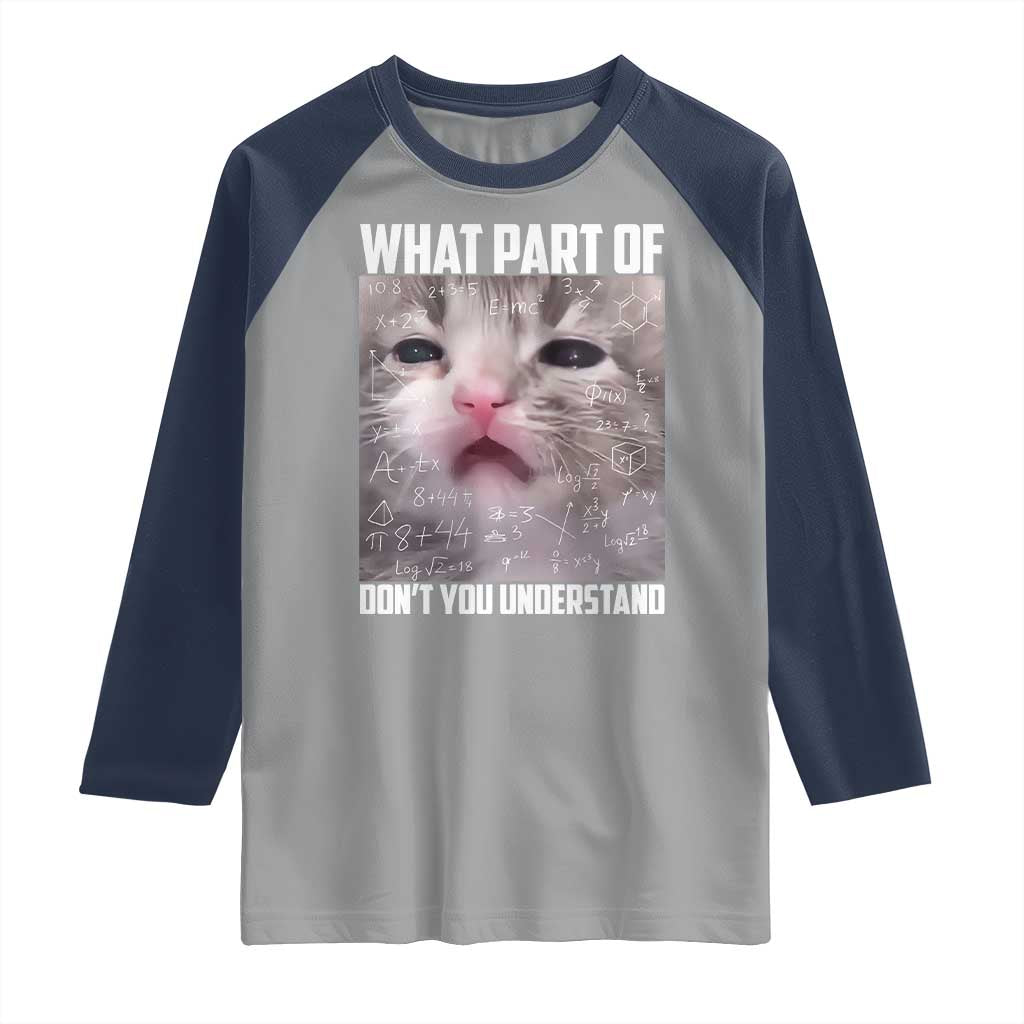 Funny Math Cat Lover Raglan Shirt What Part Of Do Not You Understand - Wonder Print Shop