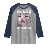 Funny Math Cat Lover Raglan Shirt What Part Of Do Not You Understand - Wonder Print Shop