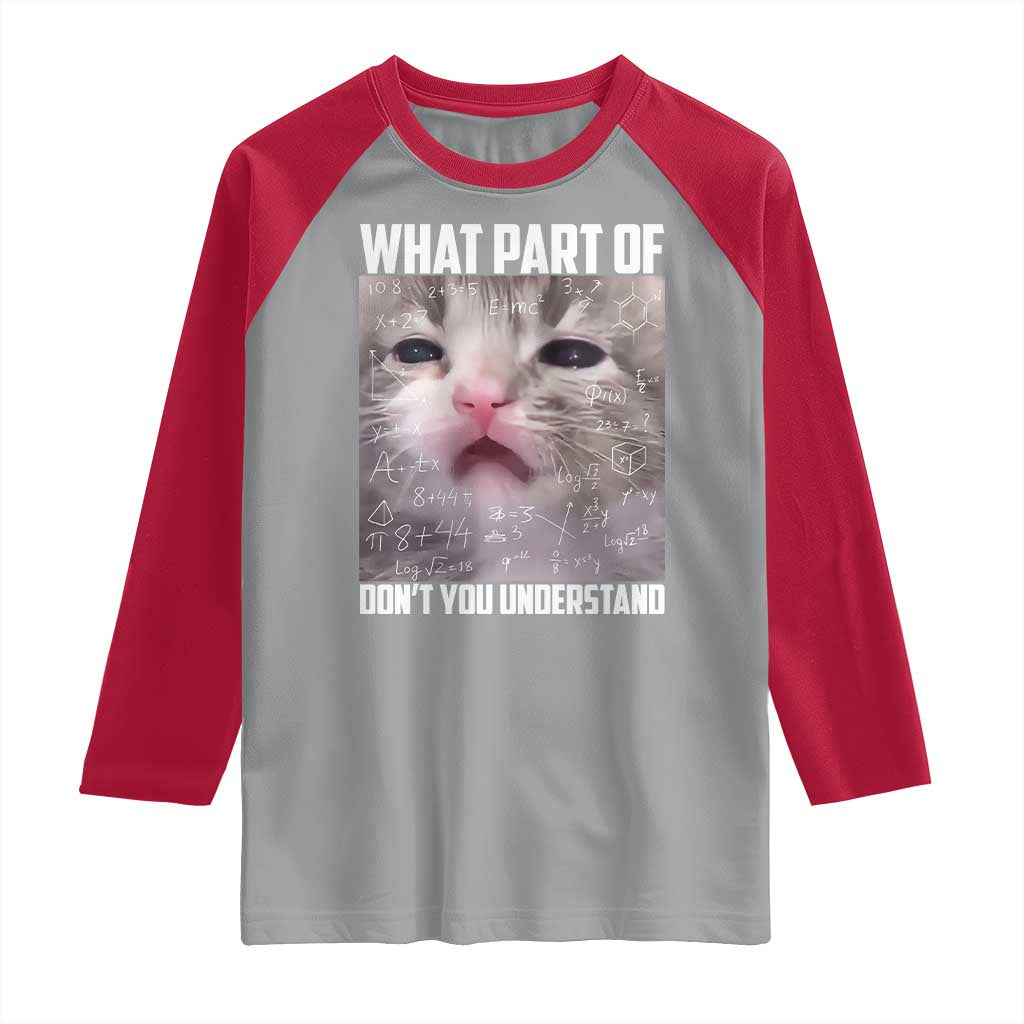 Funny Math Cat Lover Raglan Shirt What Part Of Do Not You Understand - Wonder Print Shop