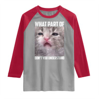 Funny Math Cat Lover Raglan Shirt What Part Of Do Not You Understand - Wonder Print Shop