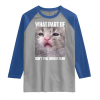 Funny Math Cat Lover Raglan Shirt What Part Of Do Not You Understand - Wonder Print Shop