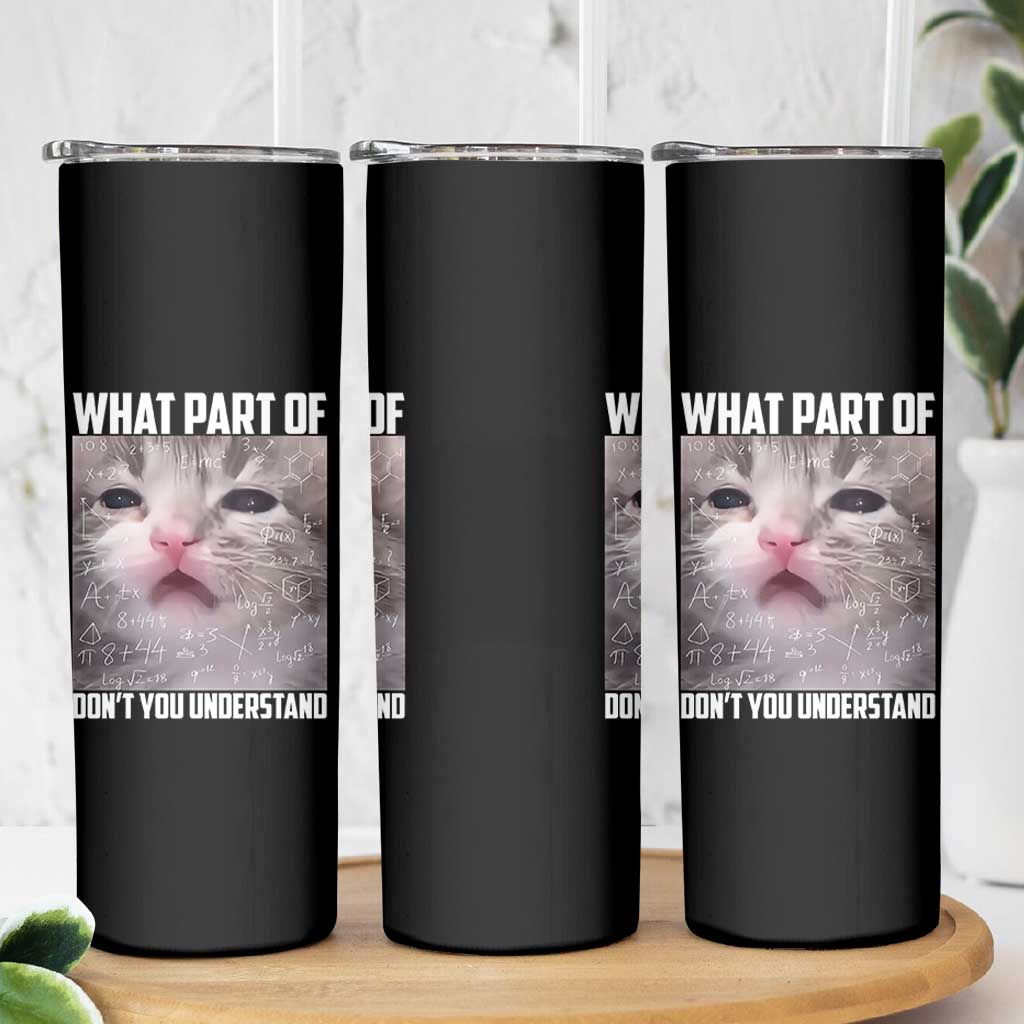 Funny Math Cat Lover Skinny Tumbler What Part Of Do Not You Understand - Wonder Print Shop