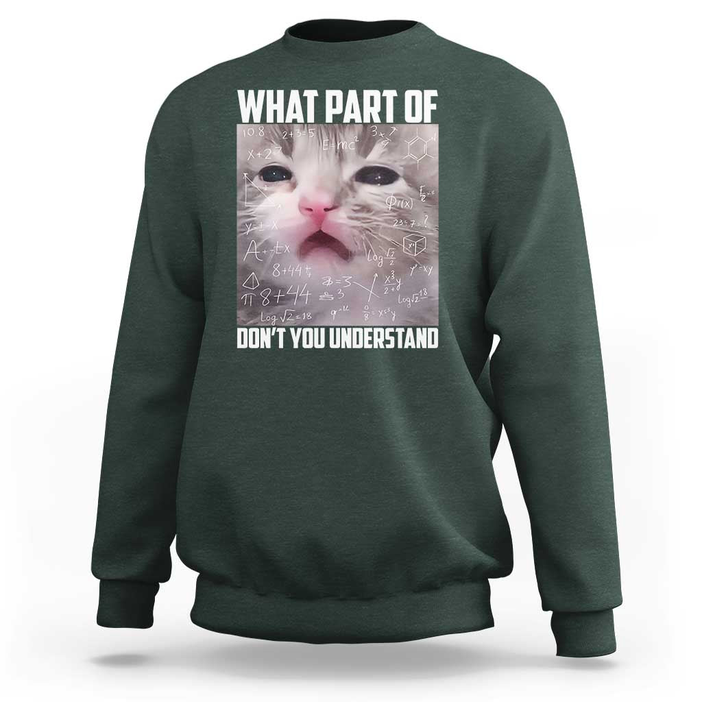 Funny Math Cat Lover Sweatshirt What Part Of Do Not You Understand - Wonder Print Shop