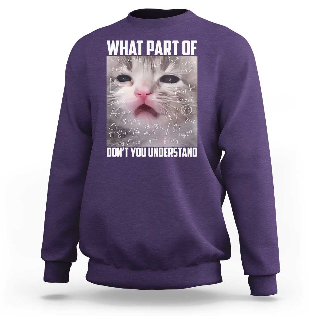 Funny Math Cat Lover Sweatshirt What Part Of Do Not You Understand - Wonder Print Shop