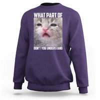 Funny Math Cat Lover Sweatshirt What Part Of Do Not You Understand - Wonder Print Shop