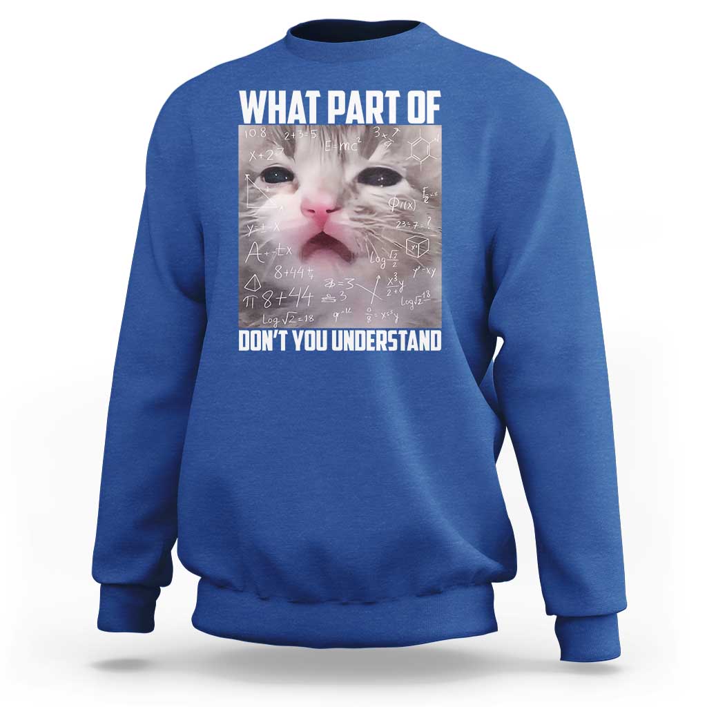 Funny Math Cat Lover Sweatshirt What Part Of Do Not You Understand - Wonder Print Shop