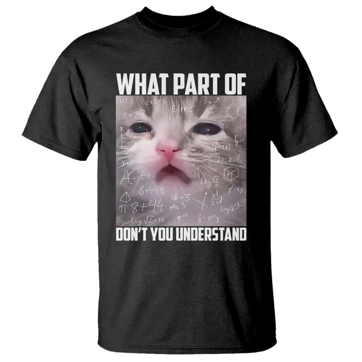 Funny Math Cat Lover T Shirt What Part Of Do Not You Understand - Wonder Print Shop