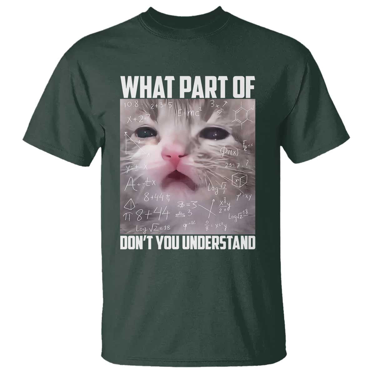 Funny Math Cat Lover T Shirt What Part Of Do Not You Understand - Wonder Print Shop