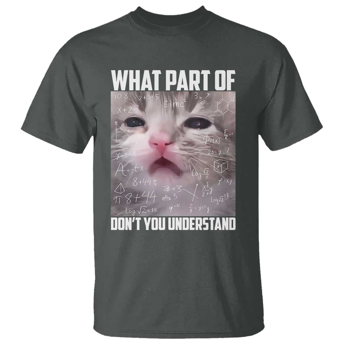 Funny Math Cat Lover T Shirt What Part Of Do Not You Understand - Wonder Print Shop