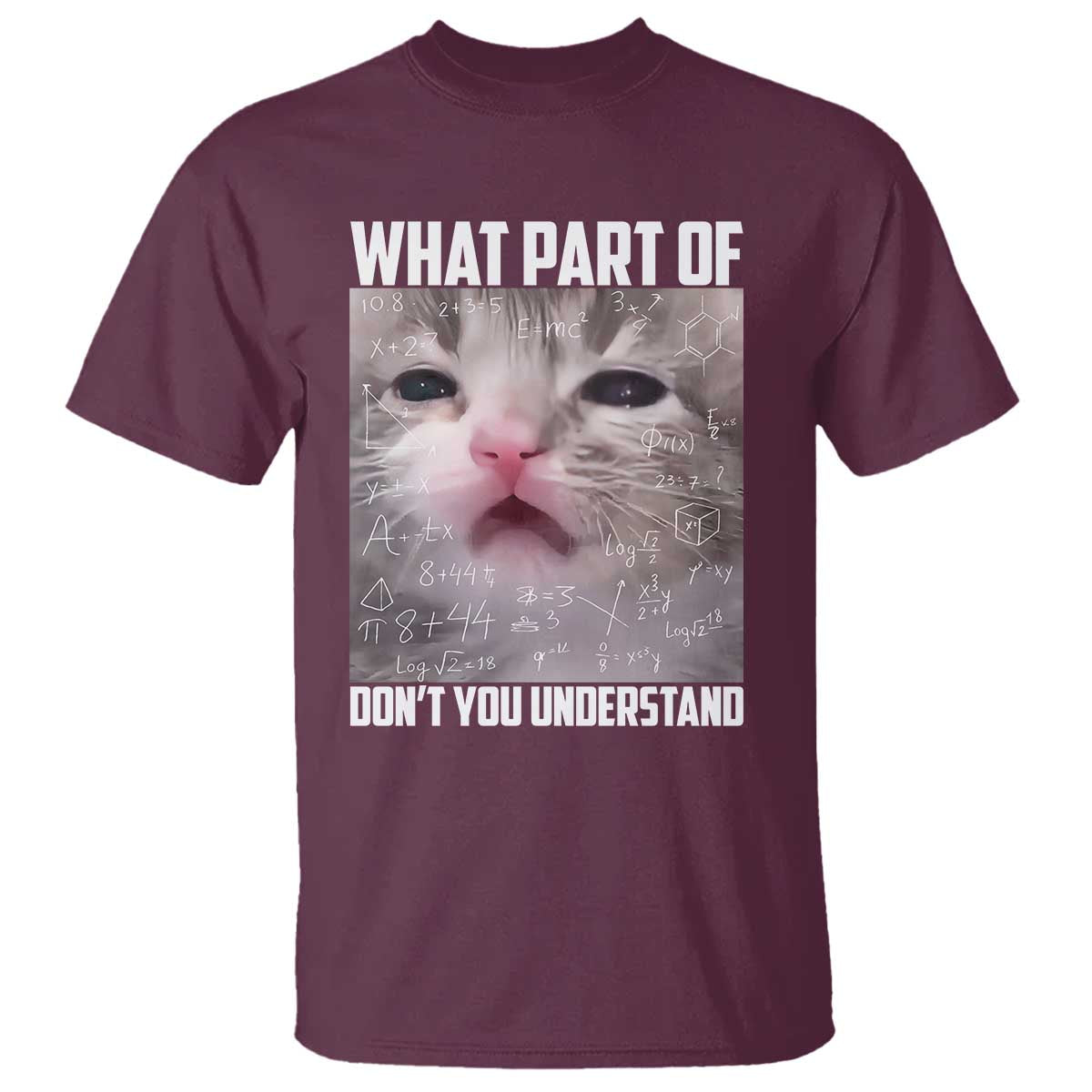 Funny Math Cat Lover T Shirt What Part Of Do Not You Understand - Wonder Print Shop