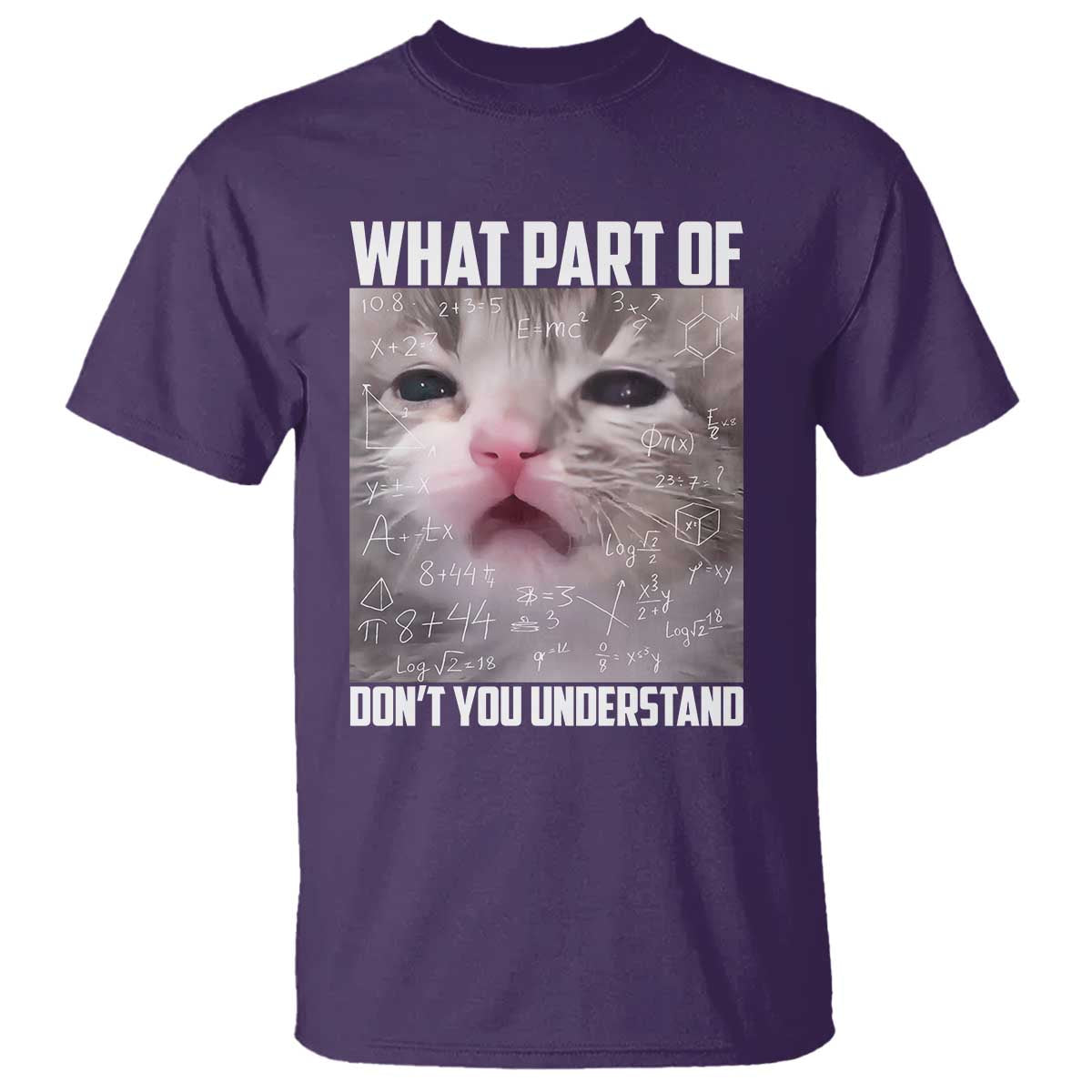 Funny Math Cat Lover T Shirt What Part Of Do Not You Understand - Wonder Print Shop