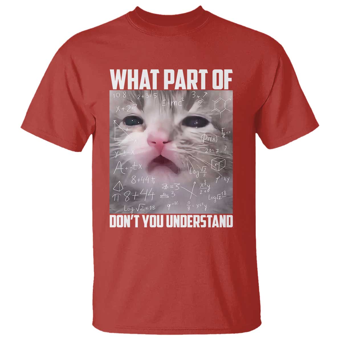 Funny Math Cat Lover T Shirt What Part Of Do Not You Understand - Wonder Print Shop