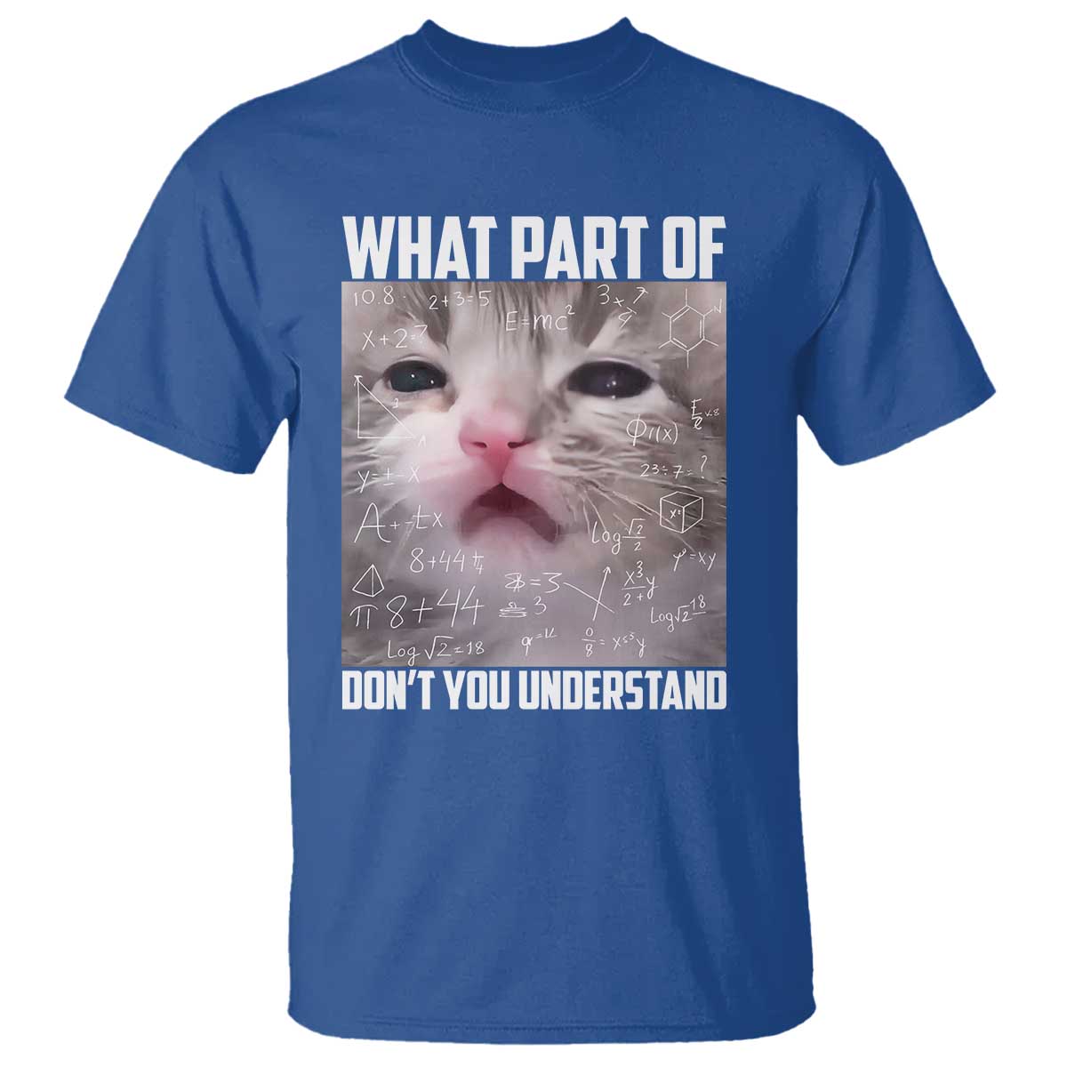 Funny Math Cat Lover T Shirt What Part Of Do Not You Understand - Wonder Print Shop