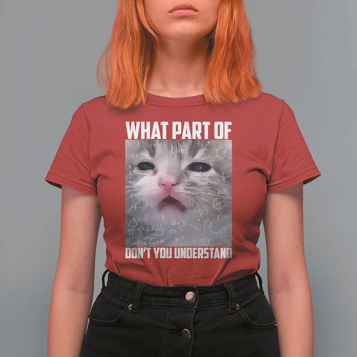 Funny Math Cat Lover T Shirt For Women What Part Of Do Not You Understand - Wonder Print Shop