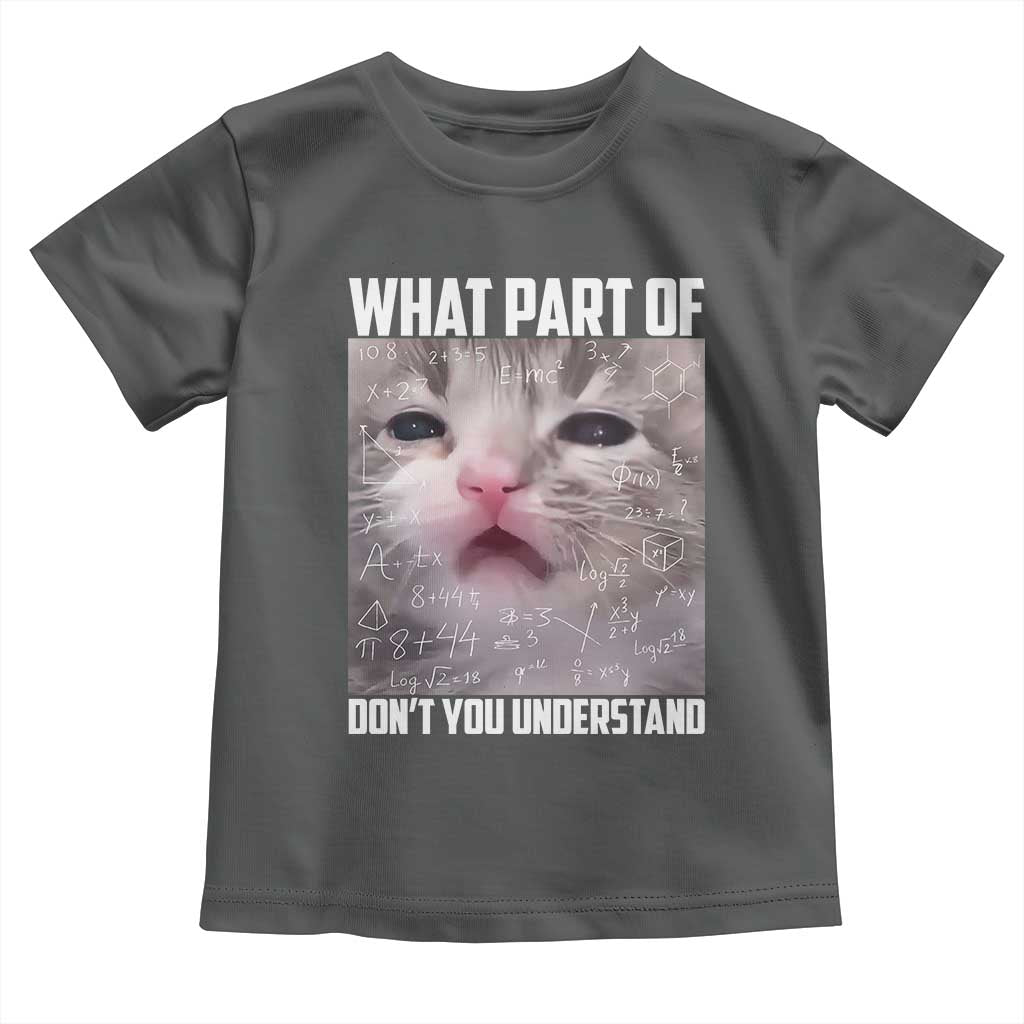 Funny Math Cat Lover Toddler T Shirt What Part Of Do Not You Understand - Wonder Print Shop
