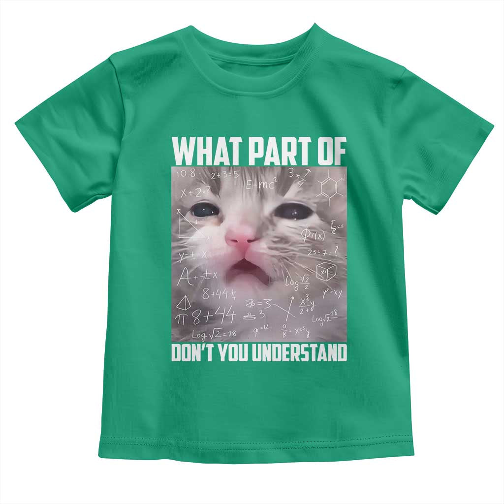 Funny Math Cat Lover Toddler T Shirt What Part Of Do Not You Understand - Wonder Print Shop