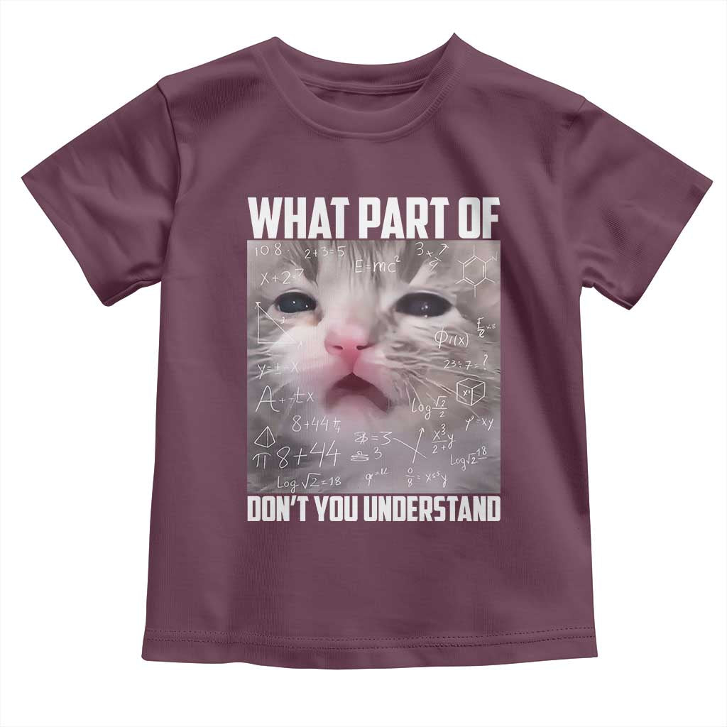 Funny Math Cat Lover Toddler T Shirt What Part Of Do Not You Understand - Wonder Print Shop