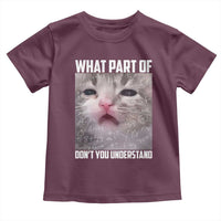 Funny Math Cat Lover Toddler T Shirt What Part Of Do Not You Understand - Wonder Print Shop