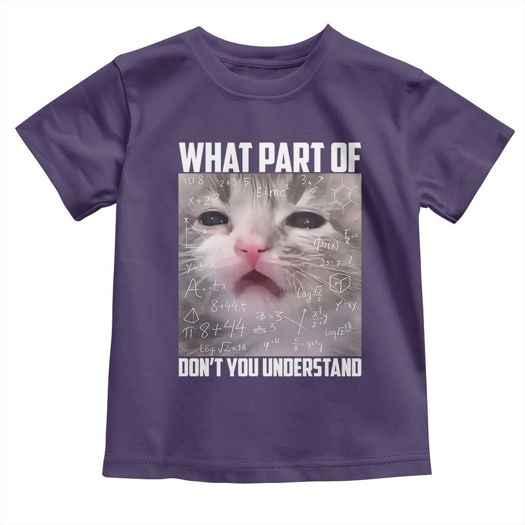 Funny Math Cat Lover Toddler T Shirt What Part Of Do Not You Understand - Wonder Print Shop