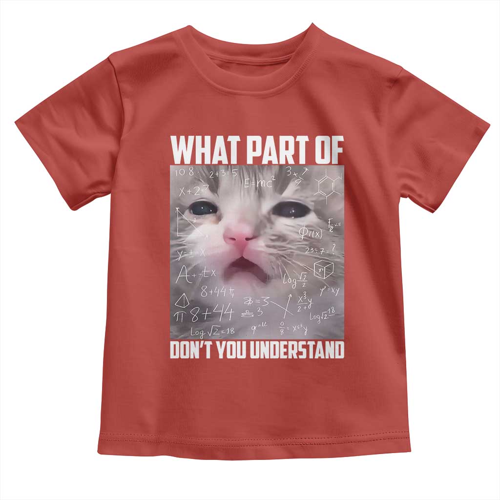 Funny Math Cat Lover Toddler T Shirt What Part Of Do Not You Understand - Wonder Print Shop