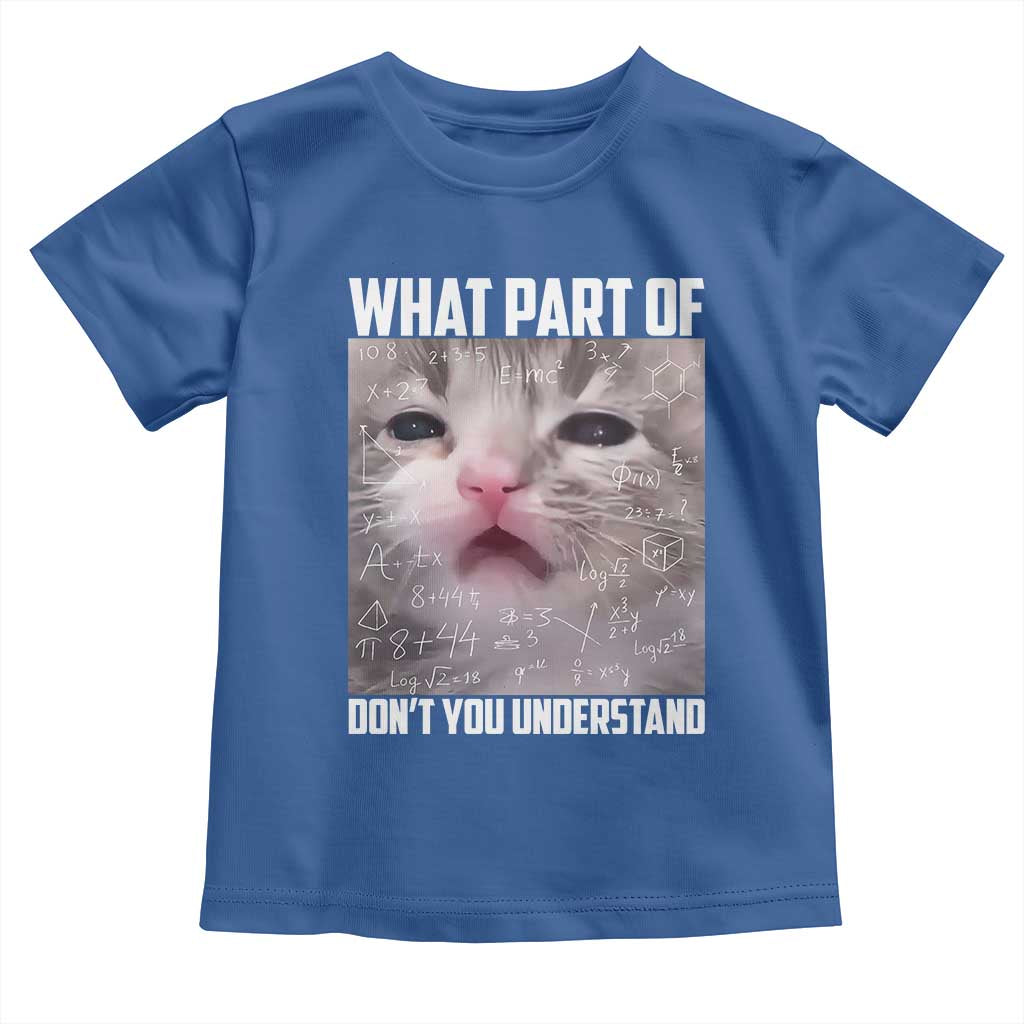 Funny Math Cat Lover Toddler T Shirt What Part Of Do Not You Understand - Wonder Print Shop