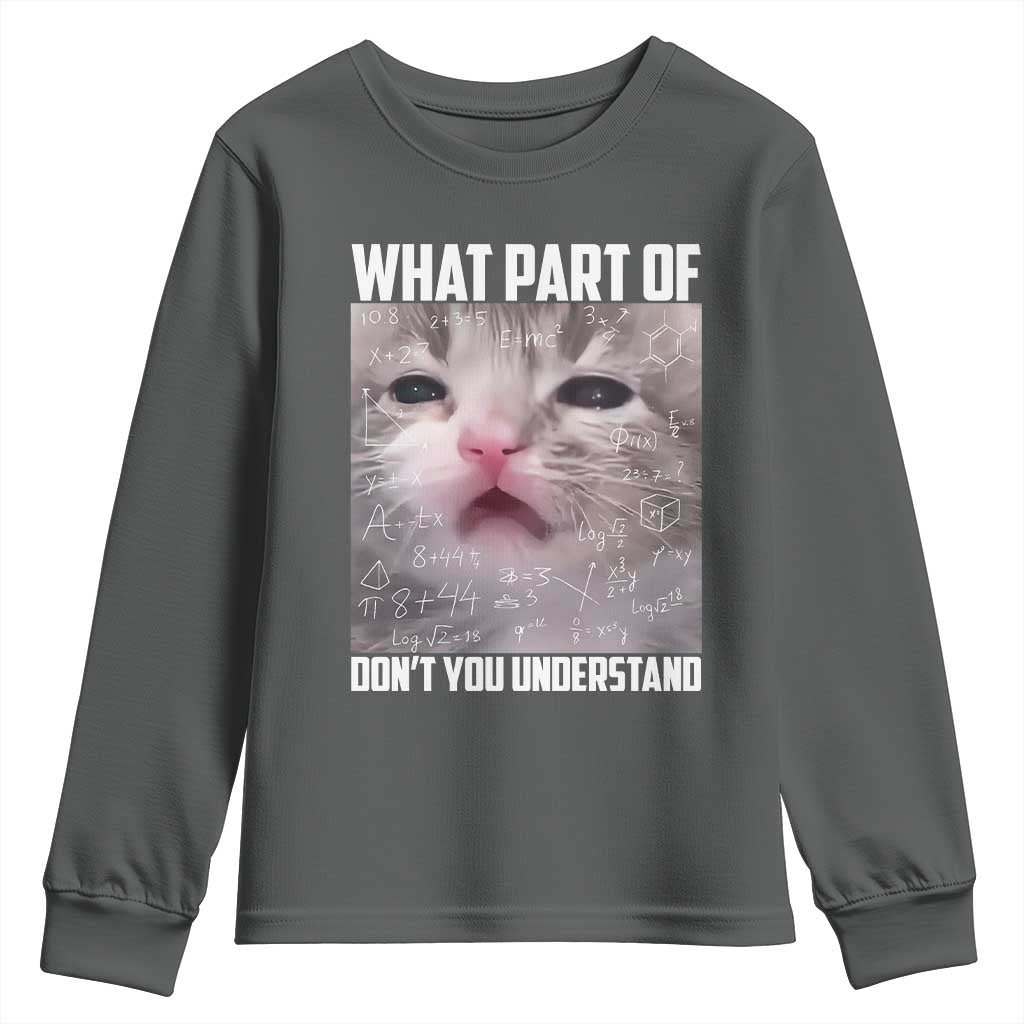 Funny Math Cat Lover Youth Sweatshirt What Part Of Do Not You Understand - Wonder Print Shop