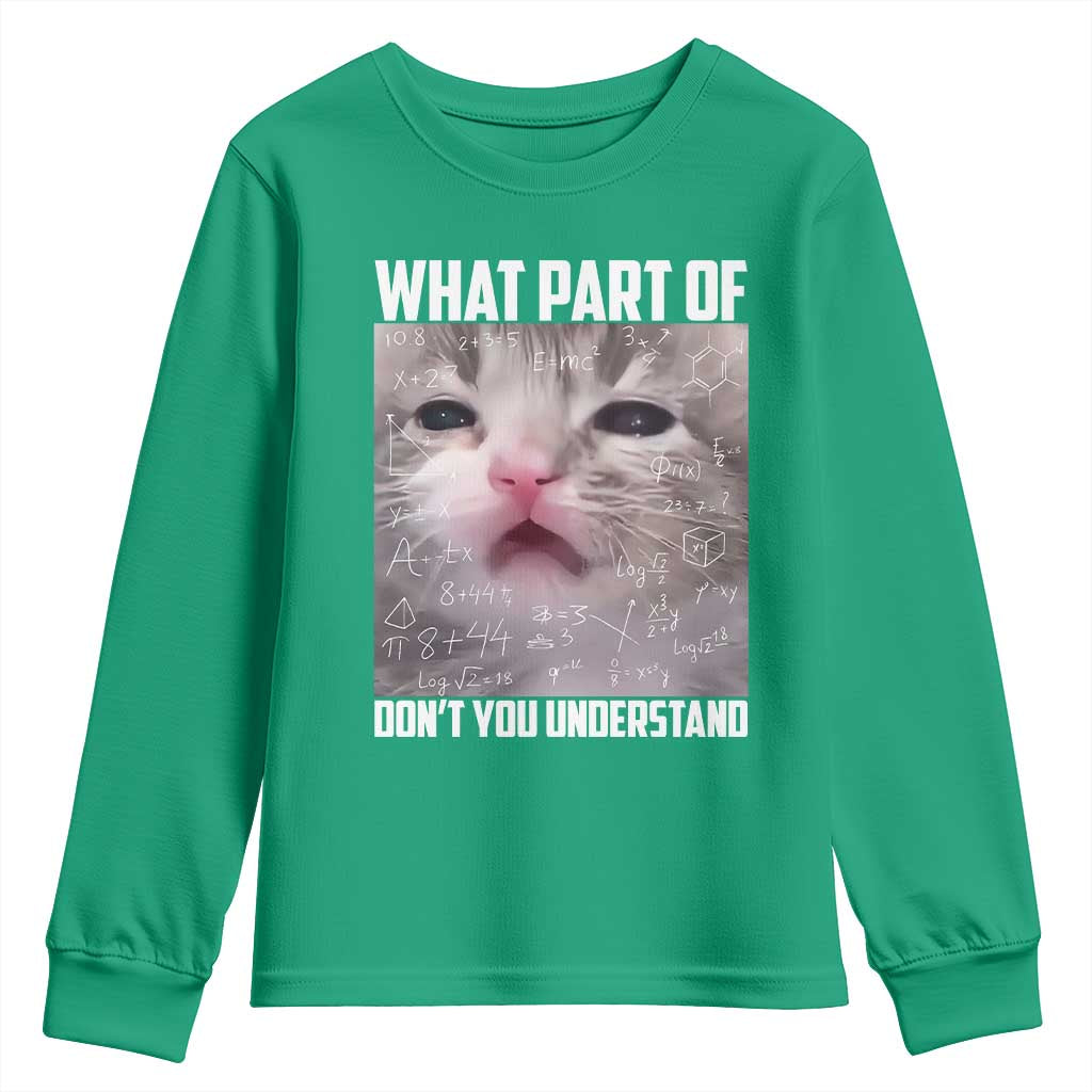Funny Math Cat Lover Youth Sweatshirt What Part Of Do Not You Understand - Wonder Print Shop