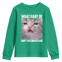 Funny Math Cat Lover Youth Sweatshirt What Part Of Do Not You Understand - Wonder Print Shop