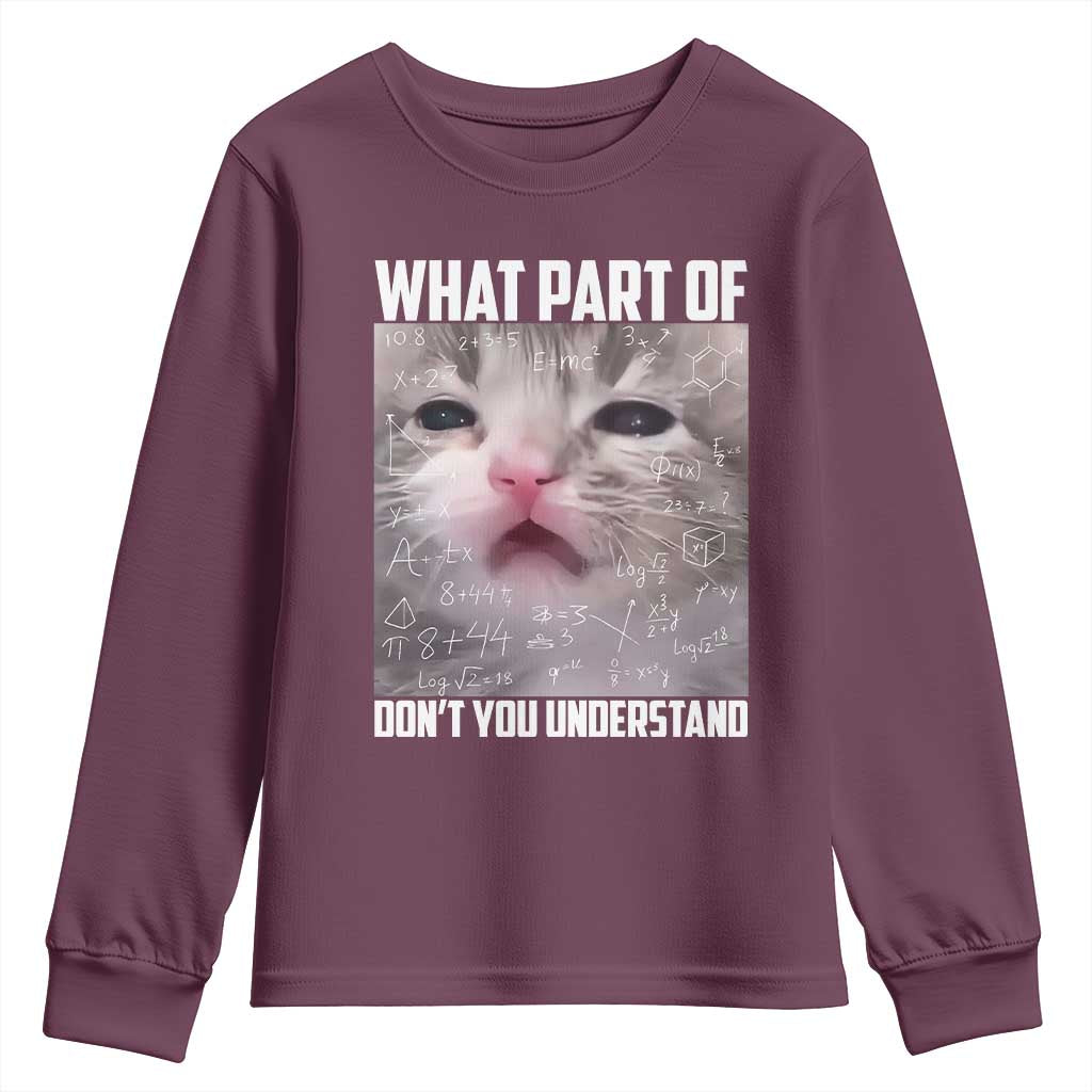 Funny Math Cat Lover Youth Sweatshirt What Part Of Do Not You Understand - Wonder Print Shop