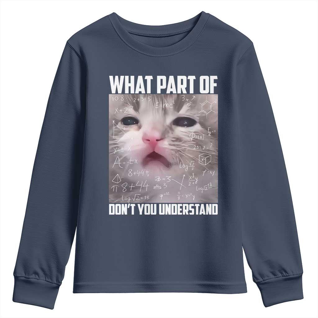 Funny Math Cat Lover Youth Sweatshirt What Part Of Do Not You Understand - Wonder Print Shop