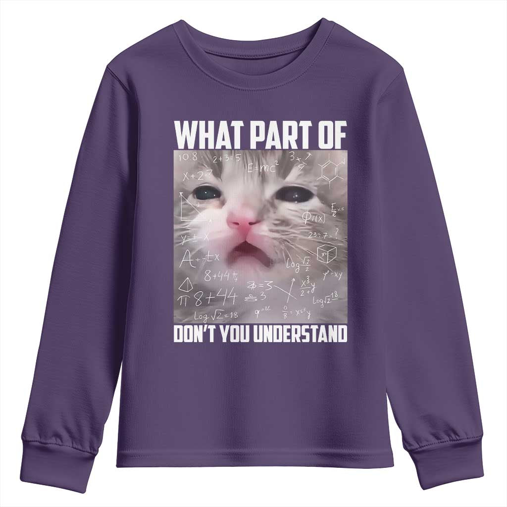 Funny Math Cat Lover Youth Sweatshirt What Part Of Do Not You Understand - Wonder Print Shop