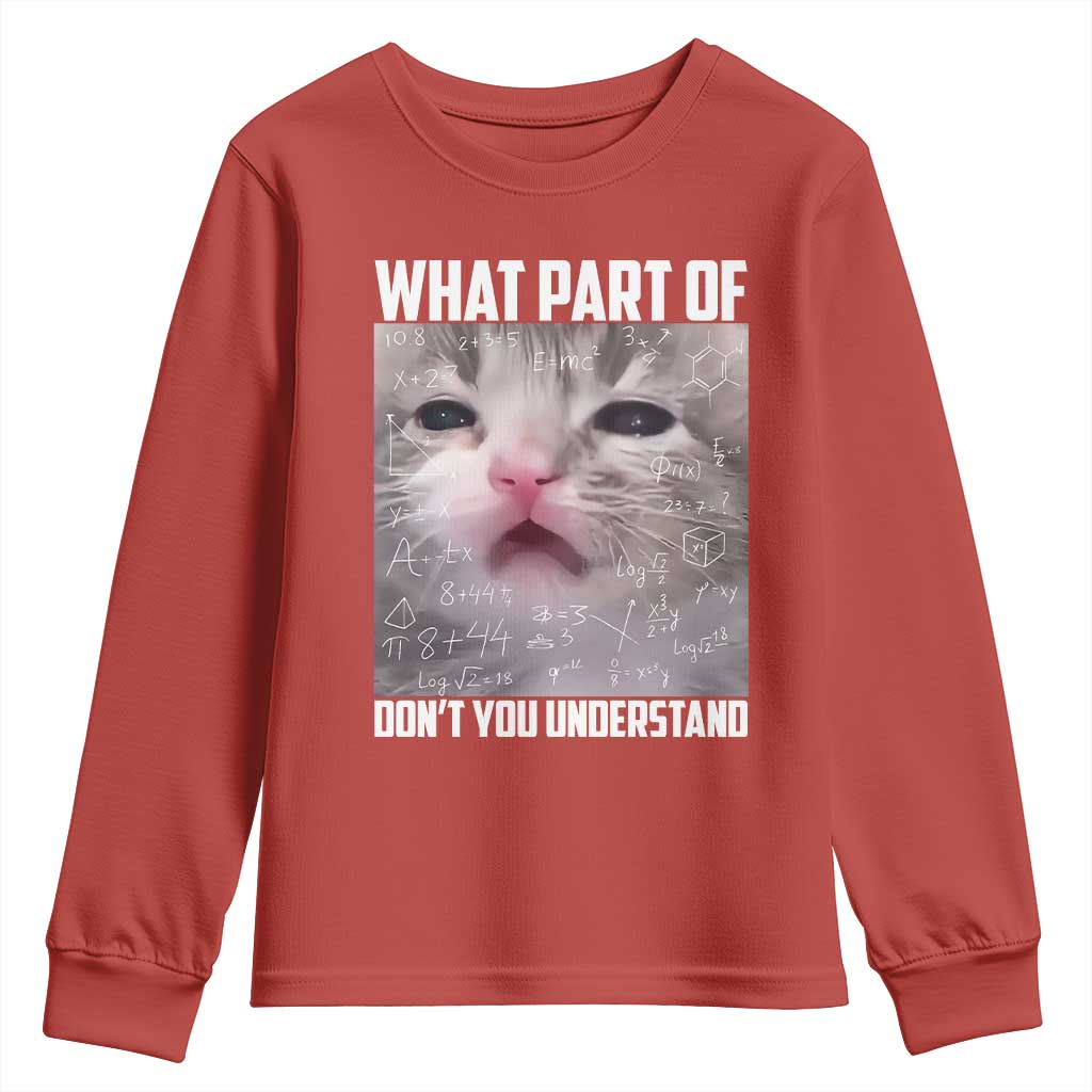 Funny Math Cat Lover Youth Sweatshirt What Part Of Do Not You Understand - Wonder Print Shop