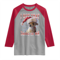 Funny Chihuahua Christmas Meme Raglan Shirt I Got That Dawg In Me - Wonder Print Shop