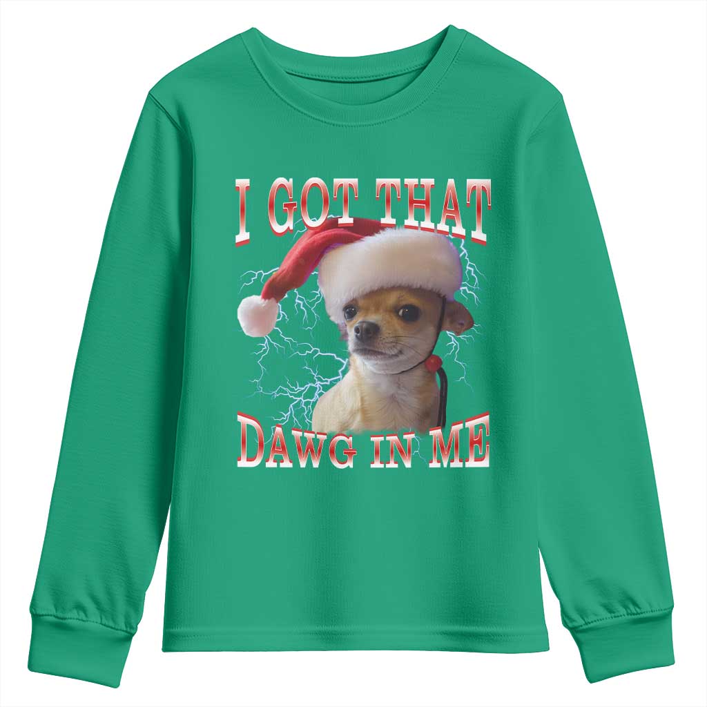 Funny Chihuahua Christmas Meme Youth Sweatshirt I Got That Dawg In Me - Wonder Print Shop