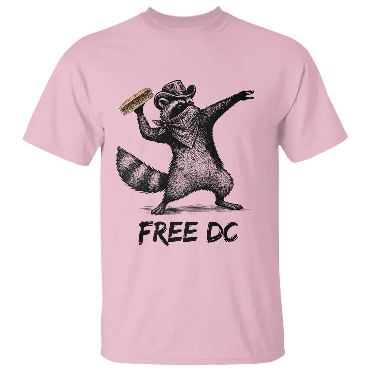 The Sandwich Guy Free DC T Shirt Funny Racoon Meme - Wonder Print Shop