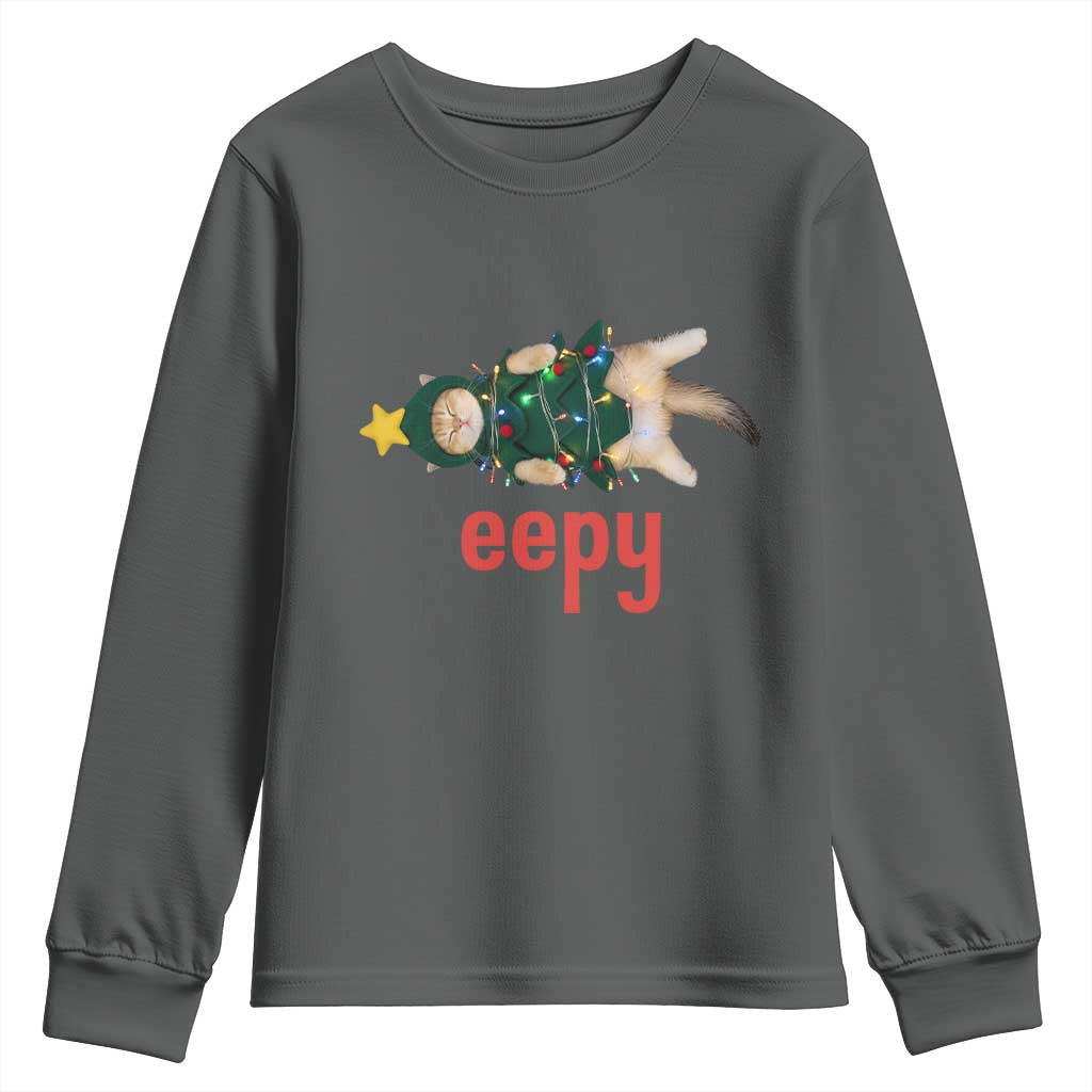 Cat Christmas Meme Youth Sweatshirt Eepy Kitten Silly Sleepy - Wonder Print Shop