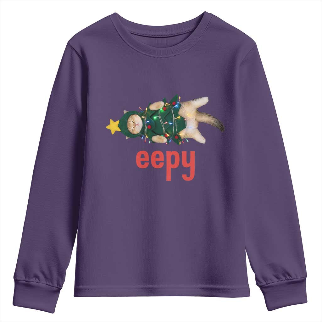 Cat Christmas Meme Youth Sweatshirt Eepy Kitten Silly Sleepy - Wonder Print Shop