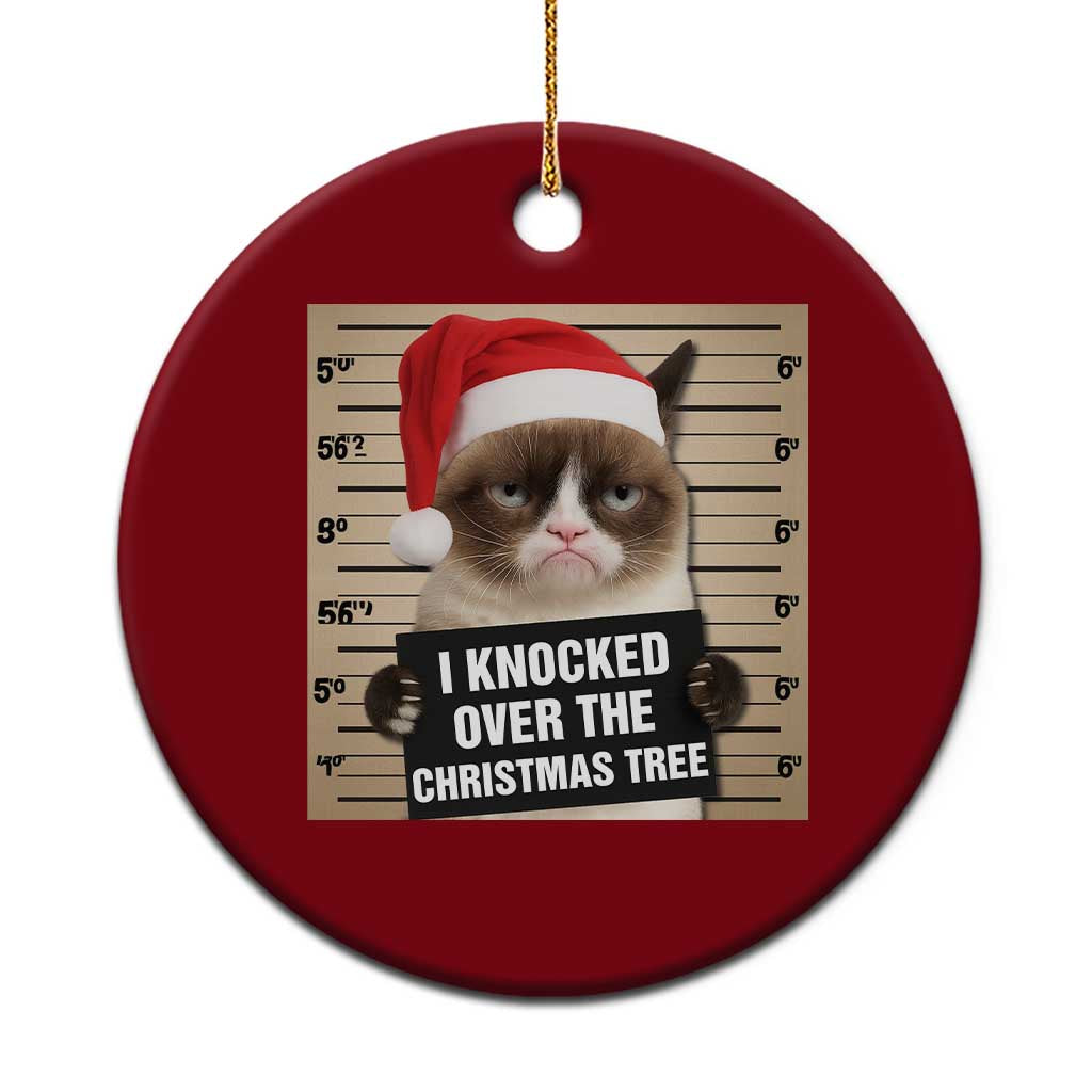 Funny Cat Mugshot Xmas Ceramic Ornament I Will Protect You Kitten No Matter What - Wonder Print Shop