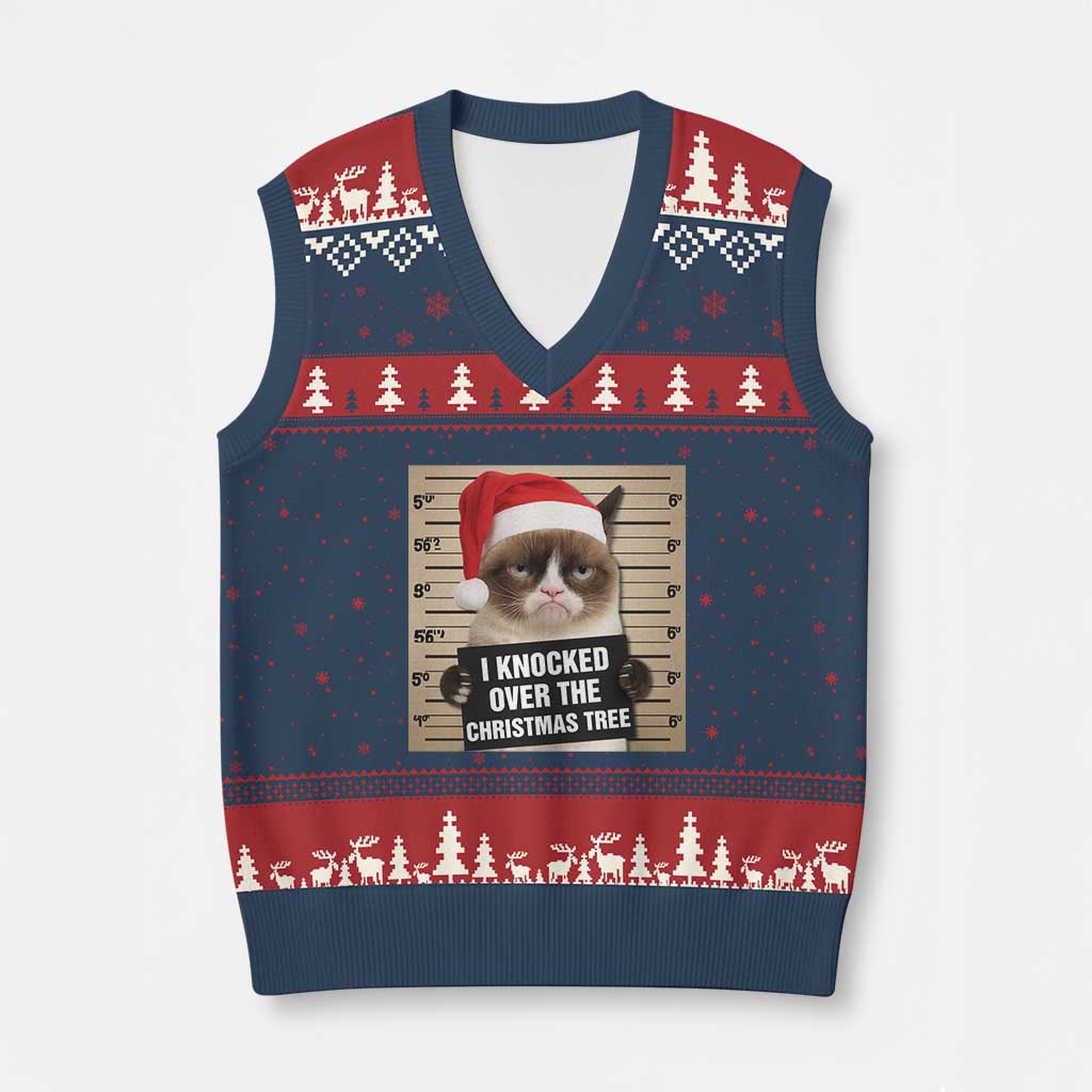 Funny Cat Mugshot Xmas V-Neck Knit Sweater Vest I Will Protect You Kitten No Matter What - Wonder Print Shop