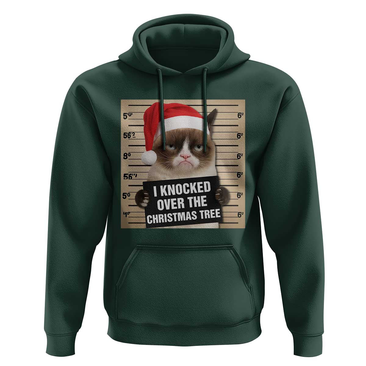 Funny Cat Mugshot Christmas Hoodie I Will Protect You Kitten No Matter What - Wonder Print Shop
