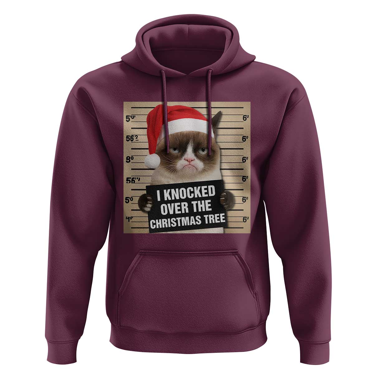 Funny Cat Mugshot Christmas Hoodie I Will Protect You Kitten No Matter What - Wonder Print Shop