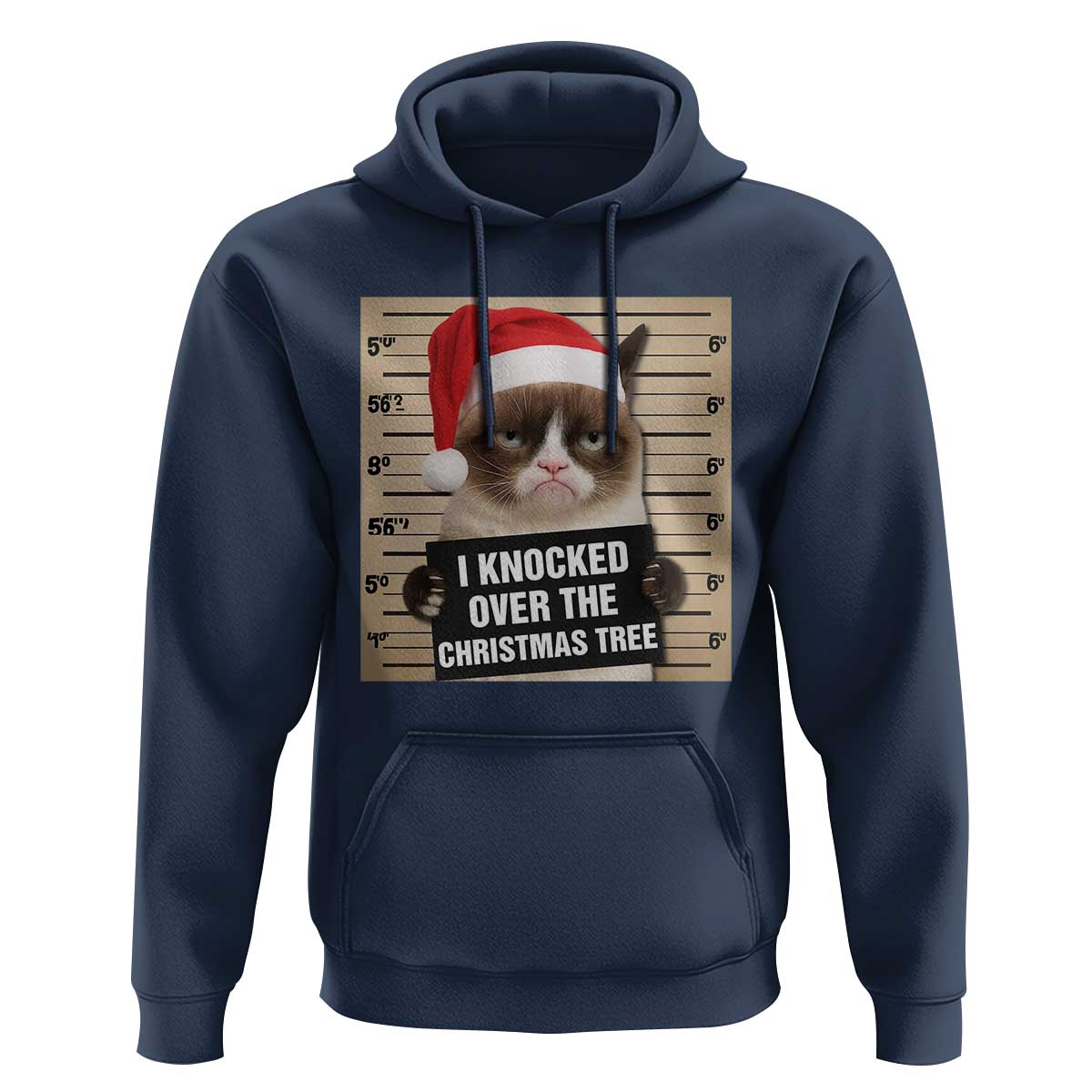 Funny Cat Mugshot Christmas Hoodie I Will Protect You Kitten No Matter What - Wonder Print Shop