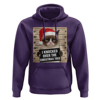 Funny Cat Mugshot Christmas Hoodie I Will Protect You Kitten No Matter What - Wonder Print Shop
