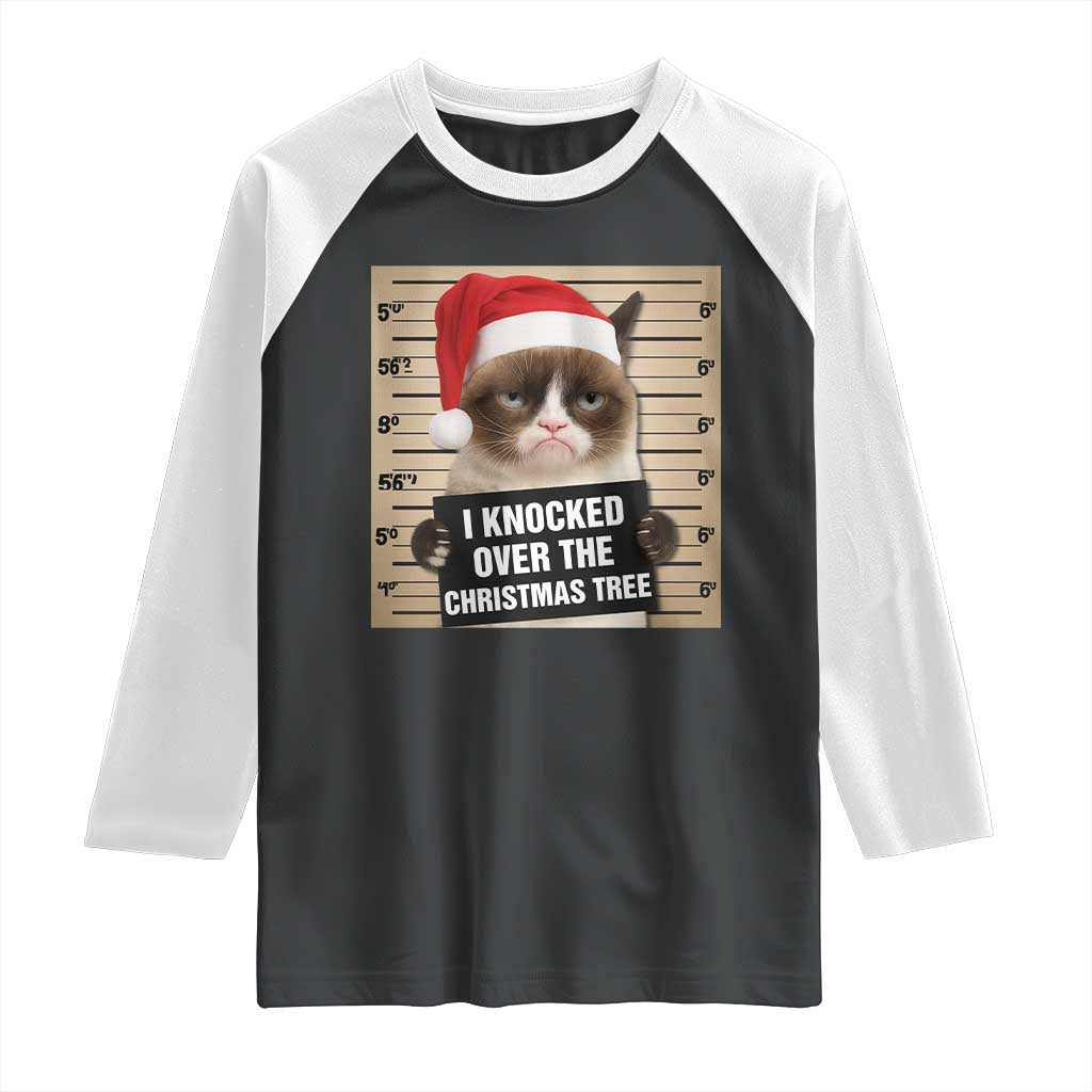 Funny Cat Mugshot Christmas Raglan Shirt I Will Protect You Kitten No Matter What - Wonder Print Shop