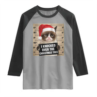 Funny Cat Mugshot Christmas Raglan Shirt I Will Protect You Kitten No Matter What - Wonder Print Shop