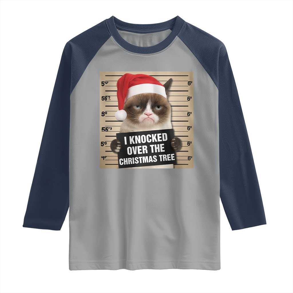 Funny Cat Mugshot Christmas Raglan Shirt I Will Protect You Kitten No Matter What - Wonder Print Shop