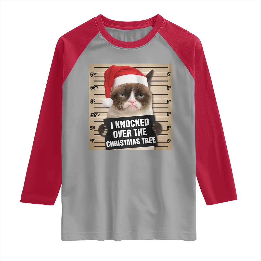 Funny Cat Mugshot Christmas Raglan Shirt I Will Protect You Kitten No Matter What - Wonder Print Shop