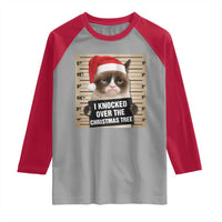 Funny Cat Mugshot Christmas Raglan Shirt I Will Protect You Kitten No Matter What - Wonder Print Shop