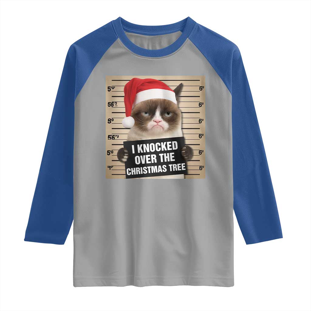 Funny Cat Mugshot Christmas Raglan Shirt I Will Protect You Kitten No Matter What - Wonder Print Shop